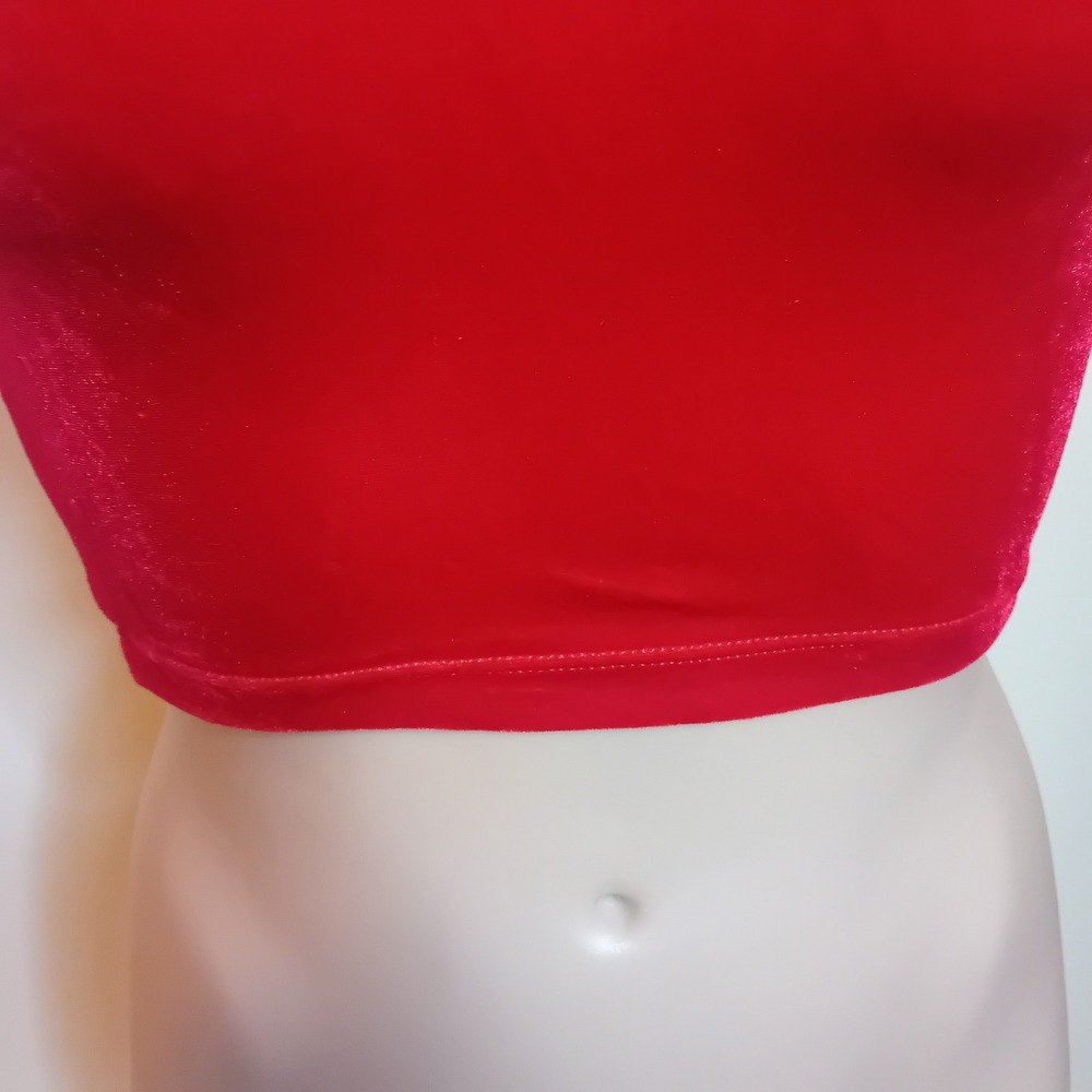 NWT Y2K American Apparel Velvet Crop Top Short Sleeve Tee Shirt Bloody Red‎ XS - Picture 7 of 16